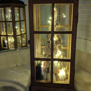 Wondershop LED Dewdrop Lights with Silver Wire